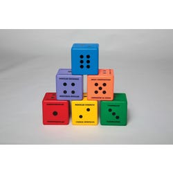 Image for Sportime Five Components of Fitness Dice, Assorted Colors, Set of 6 from School Specialty