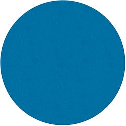 Image for Childcraft Select Carpet, Round from School Specialty