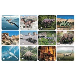 Image for Roylco Discover Dinosaurs Picture Cards & X-ray from School Specialty