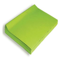 Image for Spectra Deluxe Bleeding Tissue Paper, 20 x 30 Inches, Green, 24 Sheets from School Specialty