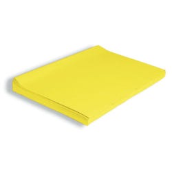 Image for Spectra Deluxe Bleeding Tissue Paper, 20 x 30 Inches, Canary, 24 Sheets from School Specialty