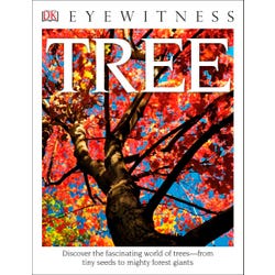 Image for DK Eyewitness Books: Tree, Discover the Fascinating World of Trees from Tiny Seeds to Mighty Forest Giants from School Specialty
