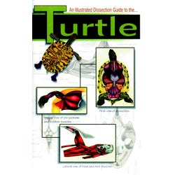Frey Scientific Mini-Guide to Turtle Dissection, Paperback, 56 Pages, Item Number 597027