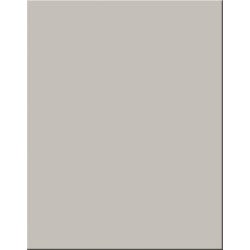 Image for Pacon Poster Board, 22 x 28 Inches, Gray, Pack of 25 from School Specialty
