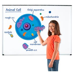 Image for Learning Resources Giant Magnetic Animal Cells, 18 Pieces from School Specialty