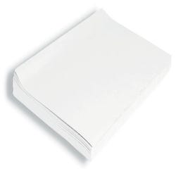 Image for Spectra Deluxe Bleeding Tissue Paper, 20 x 30 Inches, White, 24 Sheets from School Specialty