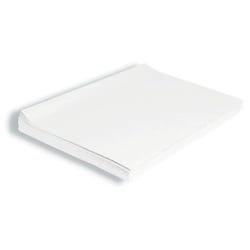 Image for Spectra Deluxe Bleeding Tissue Paper, 20 x 30 Inches, White, 24 Sheets from School Specialty