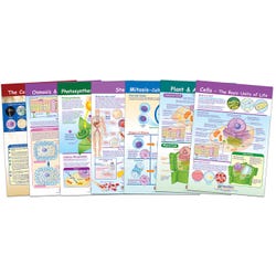 Image for NewPath Learning Bulletin Board Chart Set of 7, Cells, Grades 5-8 from School Specialty