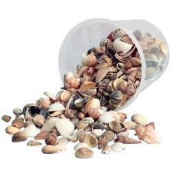 Hygloss Bucket O' Shells, Assorted Sizes, Natural White, 1 Pound Item Number 407349