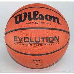 Image for Wilson Evolution Women's Basketball, 28-1/2 Inches, Leather from School Specialty