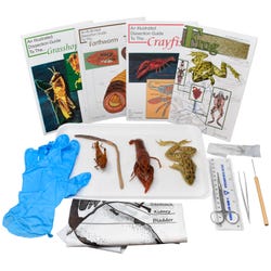 Frey Choice Dissection Kit - Animal Anatomy with Dissection Tools, Item Number 2041231