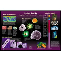 Image for NeoSCI Living Sands Laminated Poster from School Specialty