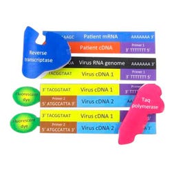 Image for NewPath Coronavirus DNA Test, 3D Model Kit, 1 Teacher Guide and 5 Student Guides from School Specialty
