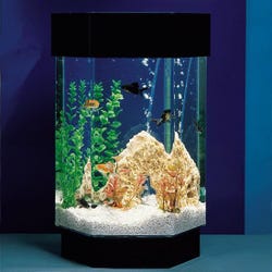 Image for Hexagon Aquascape Aquarium, 8 Gallon, 12 x 14 x 21-1/2 Inches from School Specialty