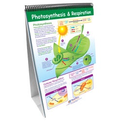 Image for Newpath Learning Science Skills Flip Charts, Middle School Life Science from School Specialty