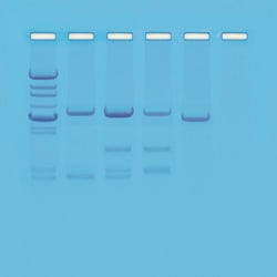 Image for Edvotek DNA Paternity Test Simulation Kit from School Specialty