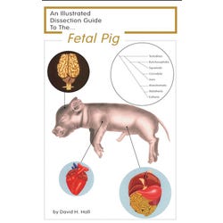 Image for Frey Scientific Mini-Guide to Pig Dissection, Paperback, 16 Pages from School Specialty