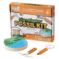 Image for hand2mind Dig and Display Fossil Kit, Grades 3 to 8 from School Specialty