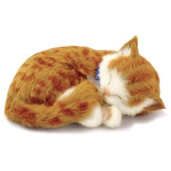 Image for Perfect Petzzz Orange Tabby Cat from School Specialty