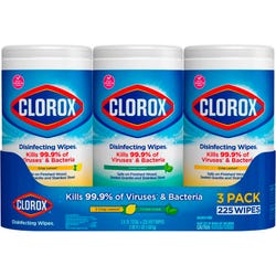Image for Clorox Bleach Free Disinfecting Wipes, Crisp Lemon and Fresh Scents, Pack of 3 with 75 Sheets Each from School Specialty