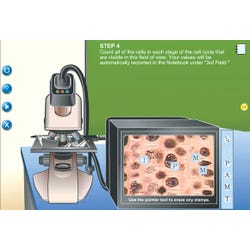 Image for NeoSCI Mitosis and Cell Division Neo/LAB Software Individual License CD-ROM from School Specialty