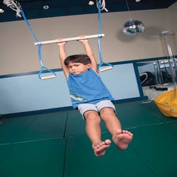 Image for Abilitations Monkey Bar Swing from School Specialty