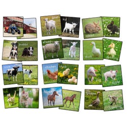 Image for Flagship Carpets Barn Animals Stow-N-Go Carpet Squares, 16 Inches, Set of 24 from School Specialty