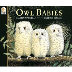 Image for Achieve It! Owl Babies by Martin Waddell, Grades PreK to 2 from School Specialty