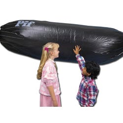 Image for Frey Scientific Solar Hot Air Balloon from School Specialty