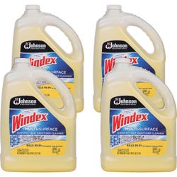 Image for Windex Multi-Surface Disinfectant Sanitizer Cleaner, 1 Gallon, Case of 4 from School Specialty