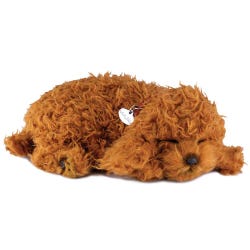 Image for Perfect Petzzz Toy Poodle from School Specialty