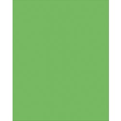 Image for Pacon Plastic Poster Board, 22 x 28 Inches, Lime Green, Pack of 25 from School Specialty