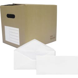 Tyvek Envelopes, Item Number 1079636