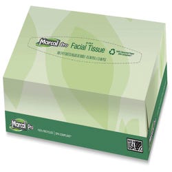 Image for Marcal Pro 2-Ply Facial Tissues, 100 Count Flat Box, Pack of 30 Boxes from School Specialty
