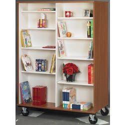 Stevens I.D. Systems Double Sided Book Cart, 48 x 24 x 67 Inches 4001107