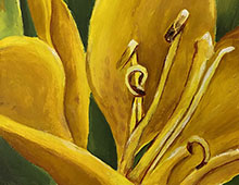 painting of a yellow lily